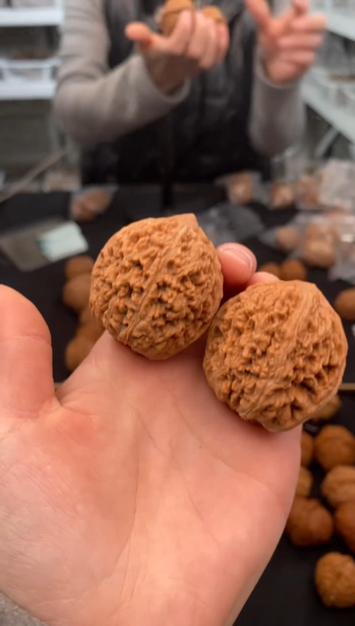 【闪购商品】文玩核桃把件大蒜头38-t872