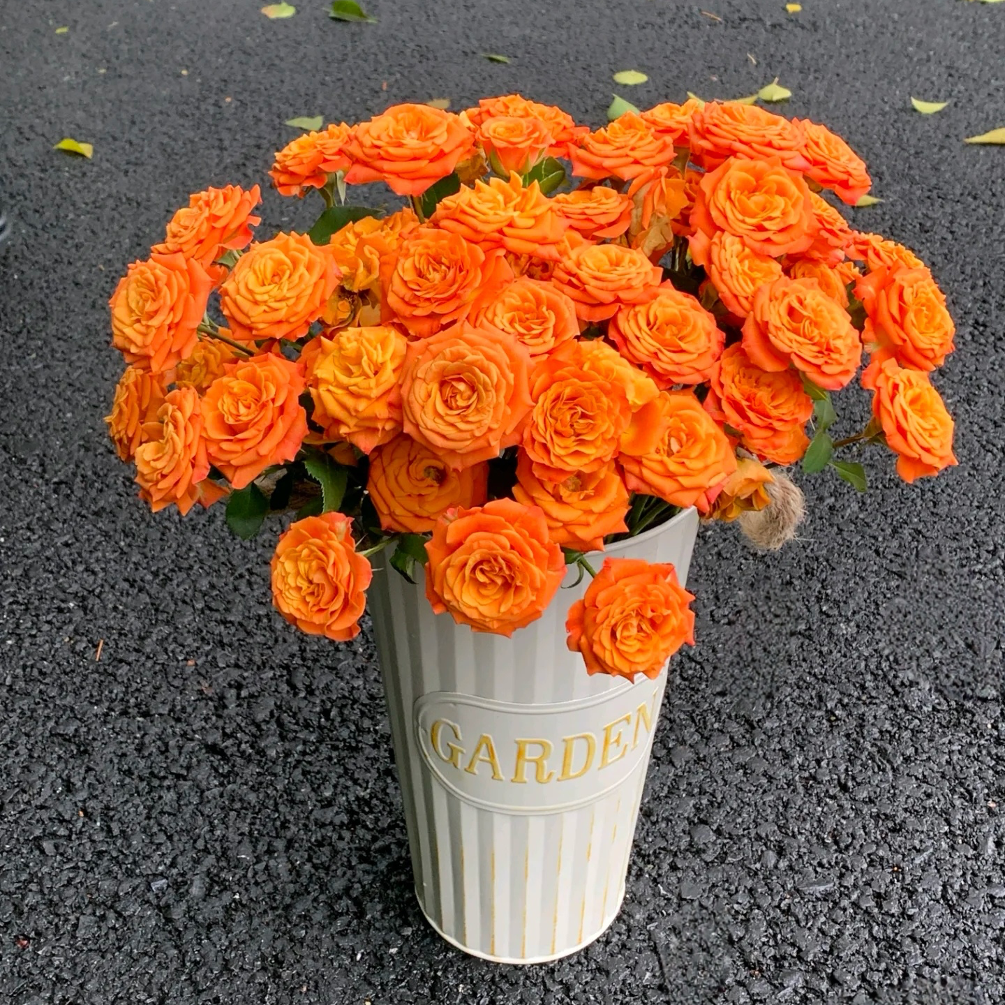  【橙色芭比】多头玫瑰（全场同一地址两单顺丰冷链包邮噢~）