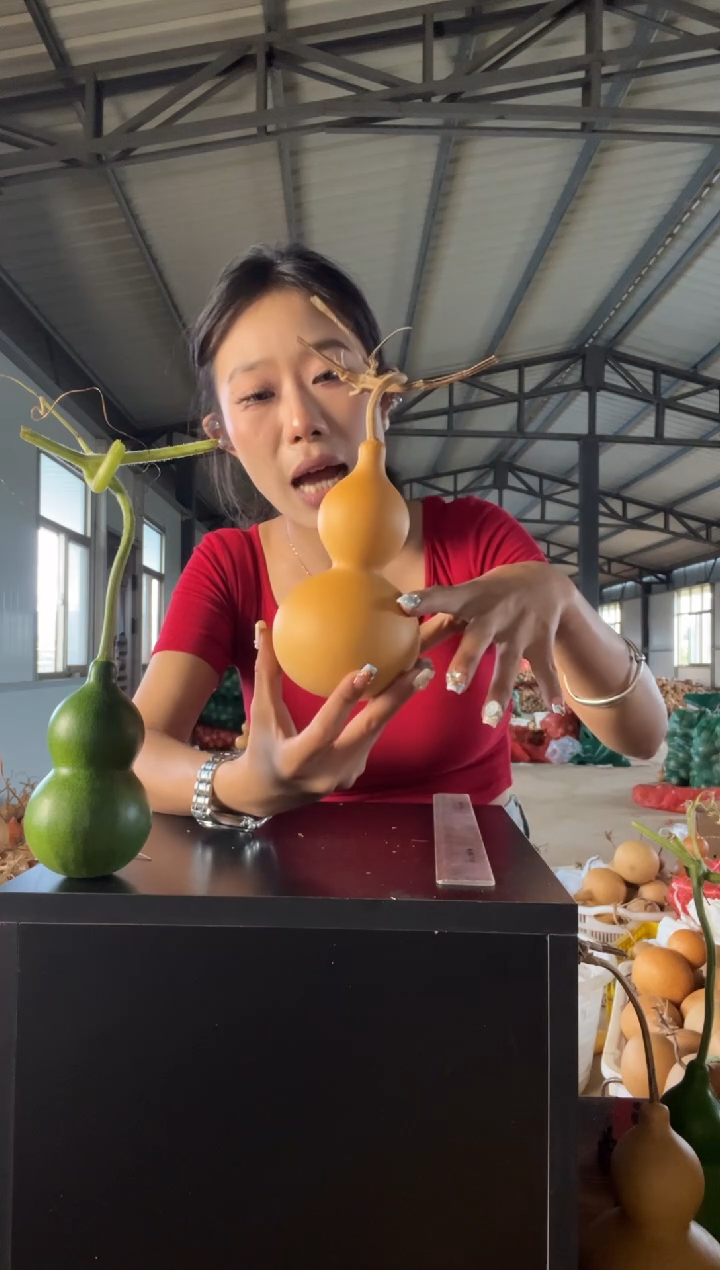 姬*035天然葫芦摆件 一物一拍龙头不保售后有色差