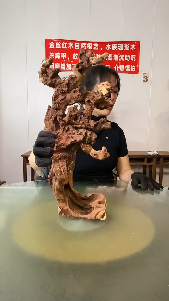 木痴****童金丝红木 羊蹄甲