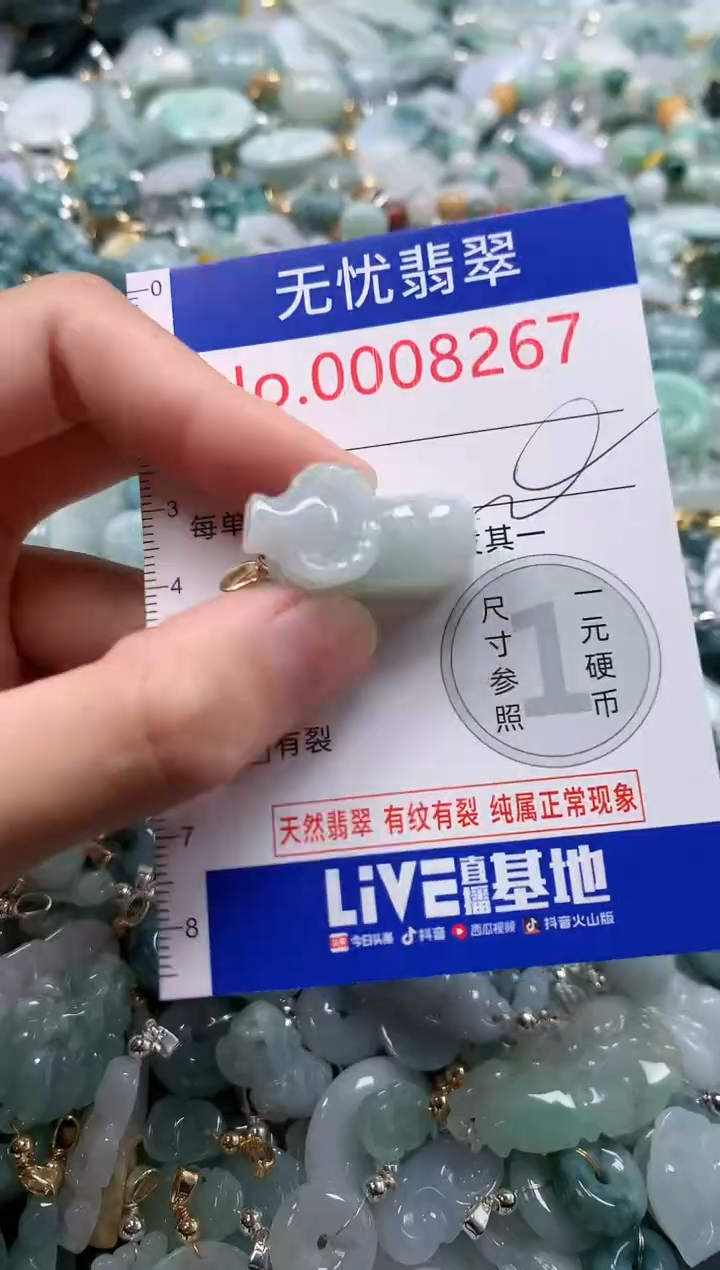 翡翠未镶嵌吊坠(不含链)8267