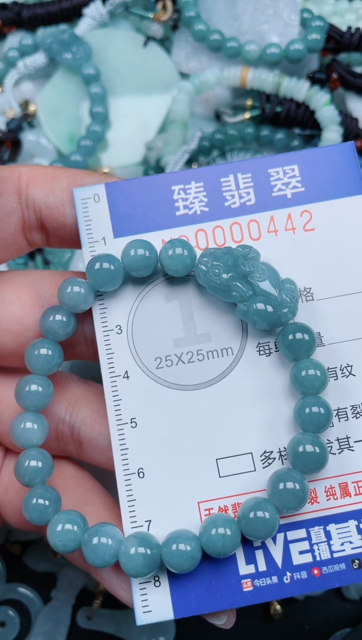 【闪购商品】翡翠颈饰未镶嵌.0000442