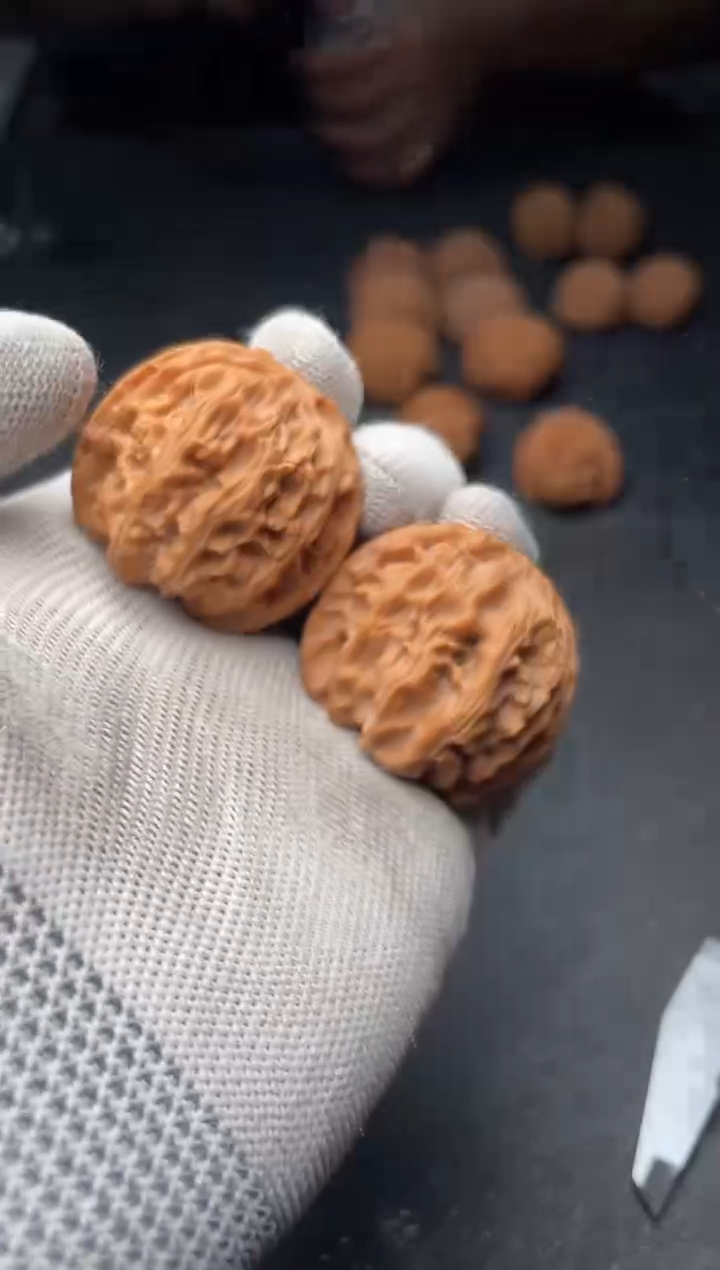 核桃a293  苹果园 37尺