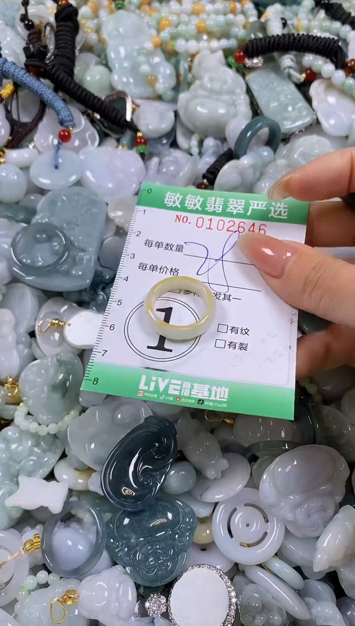 【闪购商品】翡翠颈饰未镶嵌闪购0102646