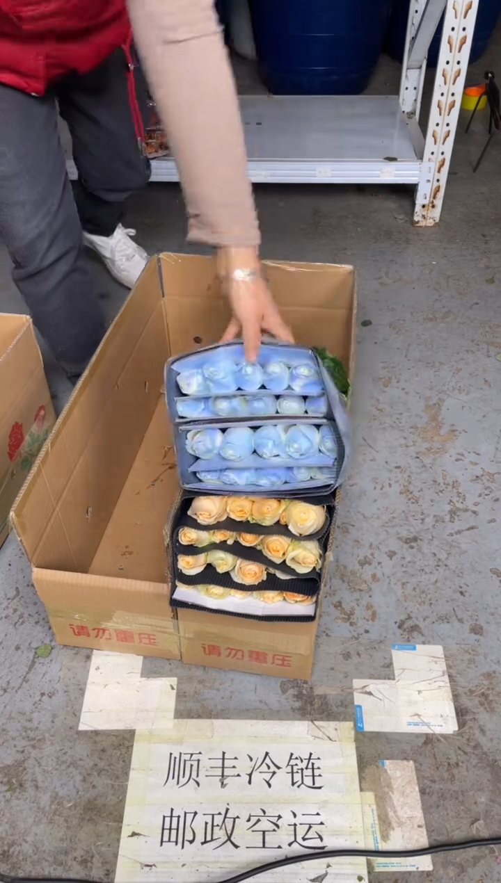 碎冰蓝20枝+香槟20枝