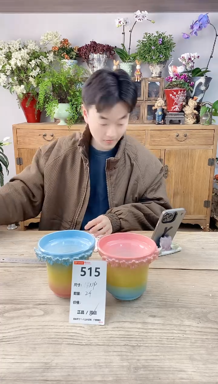 小玩子花盆直播编号515