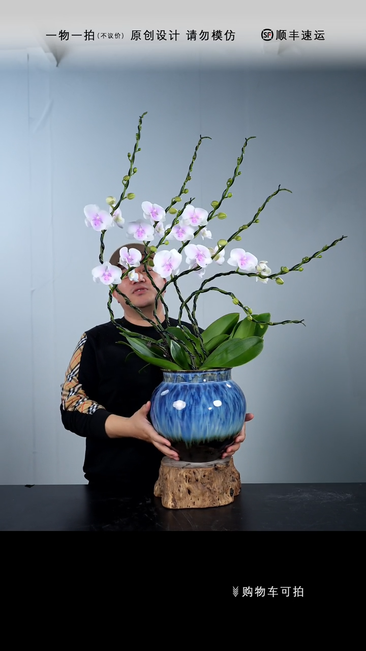 【闪购商品】019号链接【一物一拍】艺术盆景
