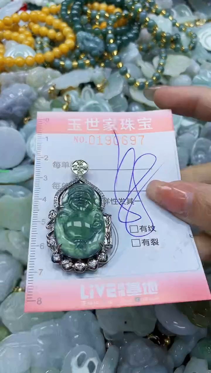 【闪购商品】翡翠颈饰未镶嵌闪购0190697