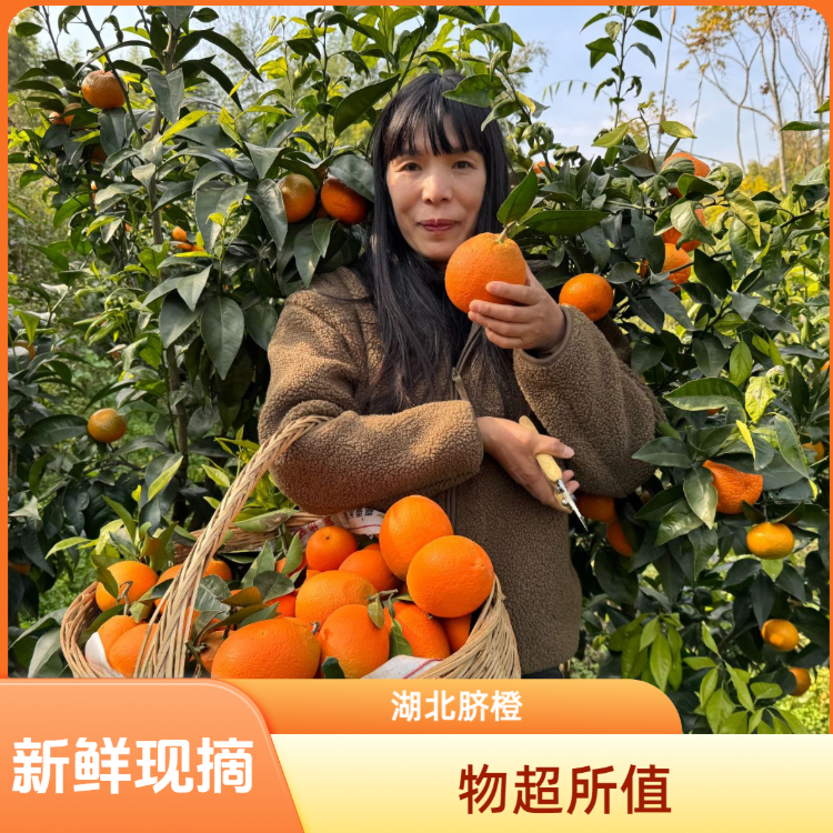 D湖北巴东正宗纽荷尔甜橙子当季甜多汁脐橙新鲜水果产地包邮批发