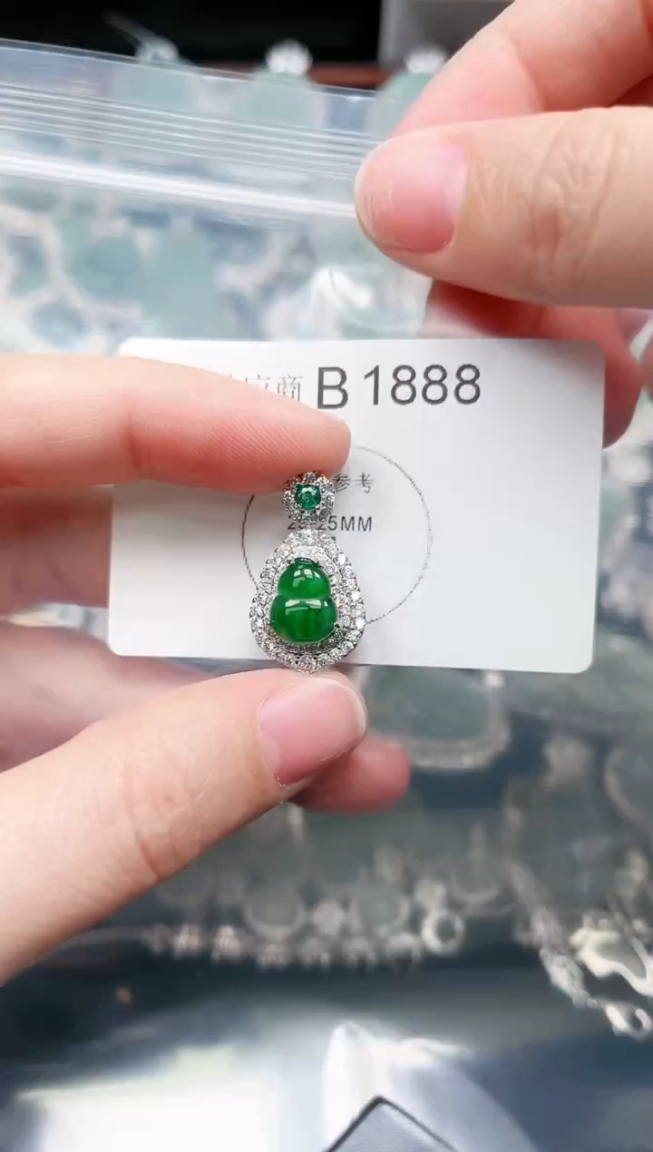 【闪购商品】翡翠颈饰未镶嵌赠皮绳1888