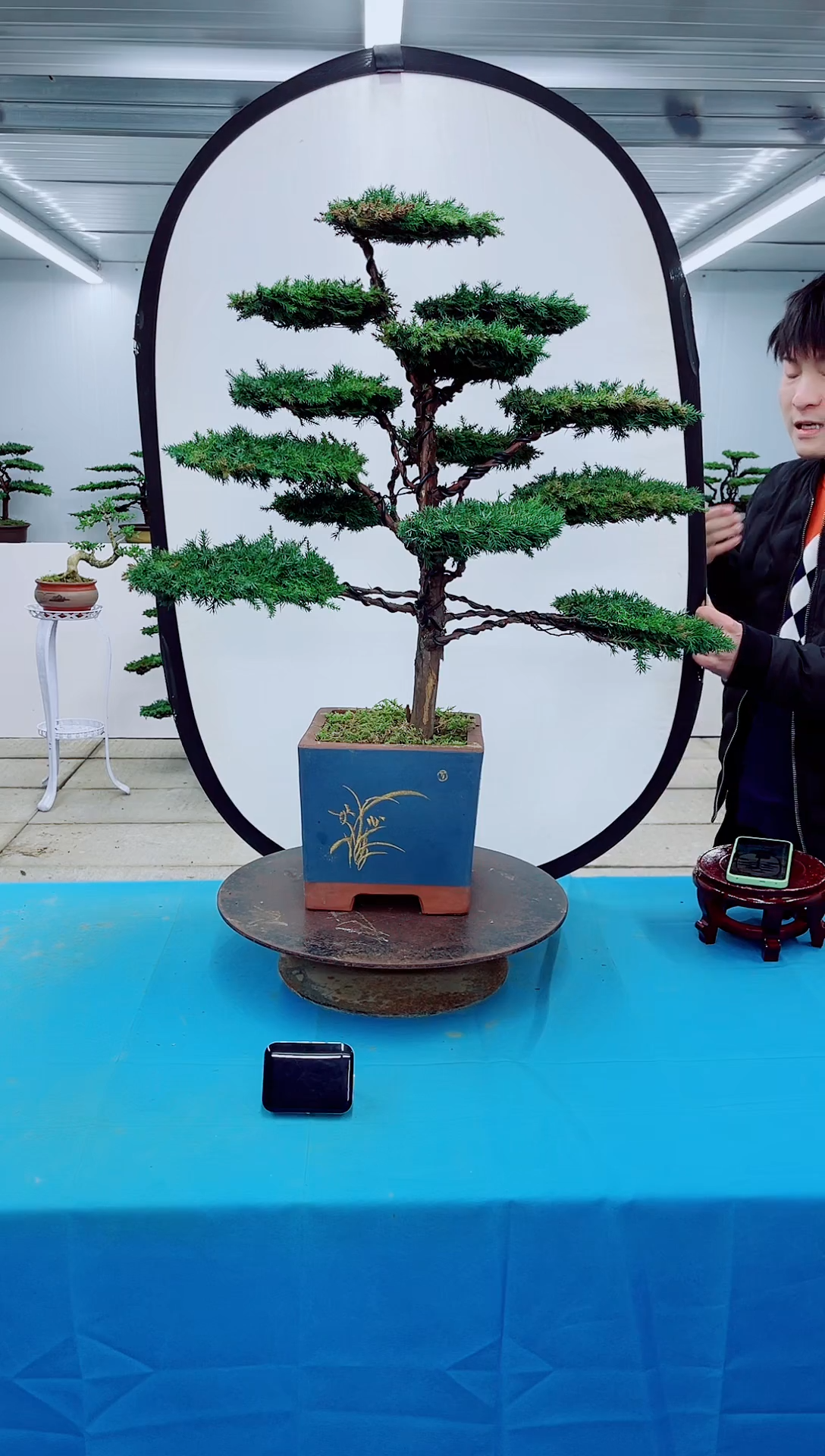 无花朵00000000000000