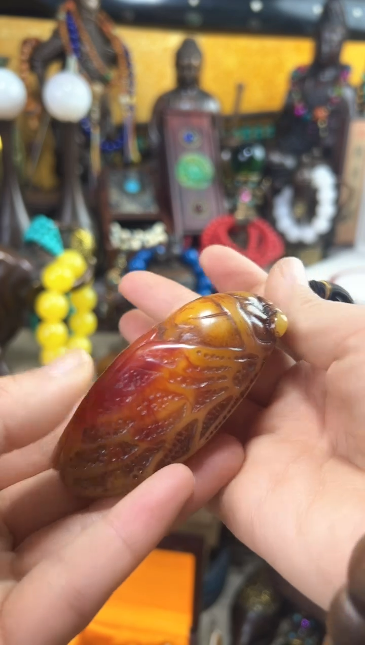 【闪购商品】蜜蜡手链未镶嵌猪妹精品专属链接