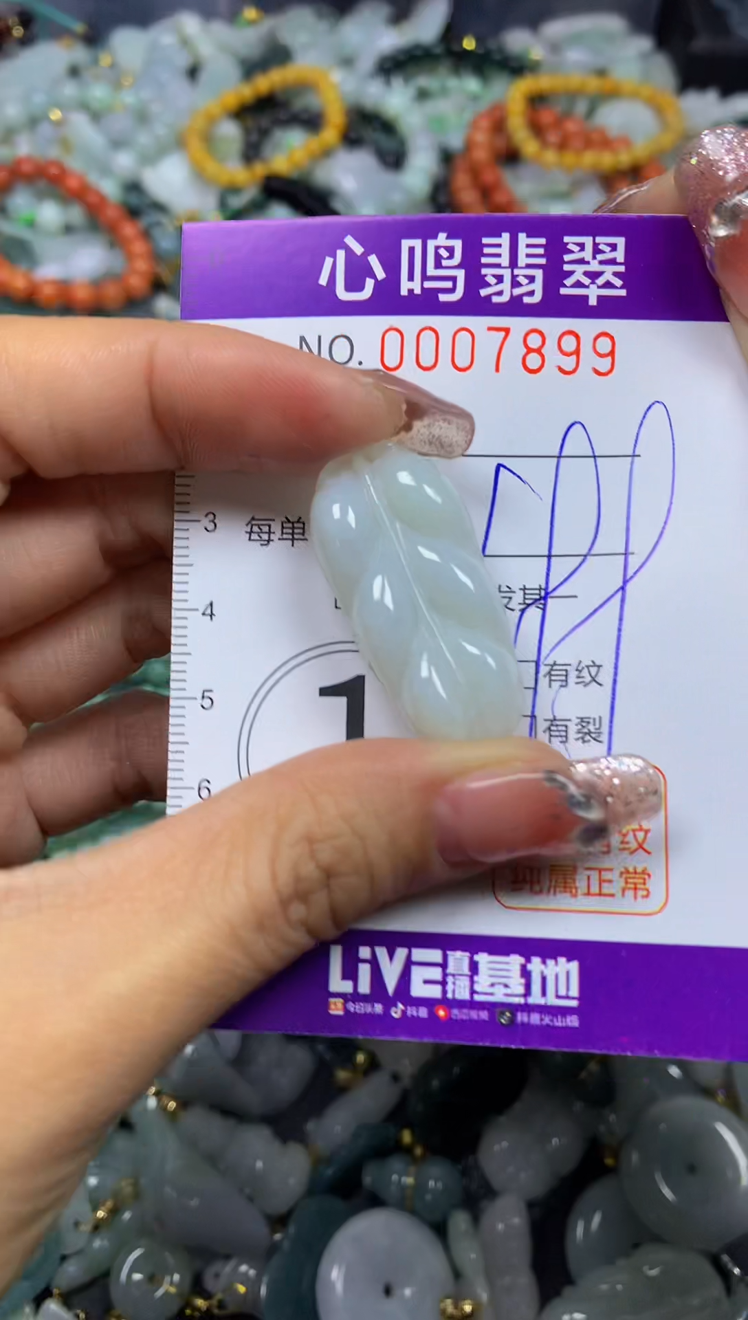【闪购商品】翡翠颈饰未镶嵌闪购007899