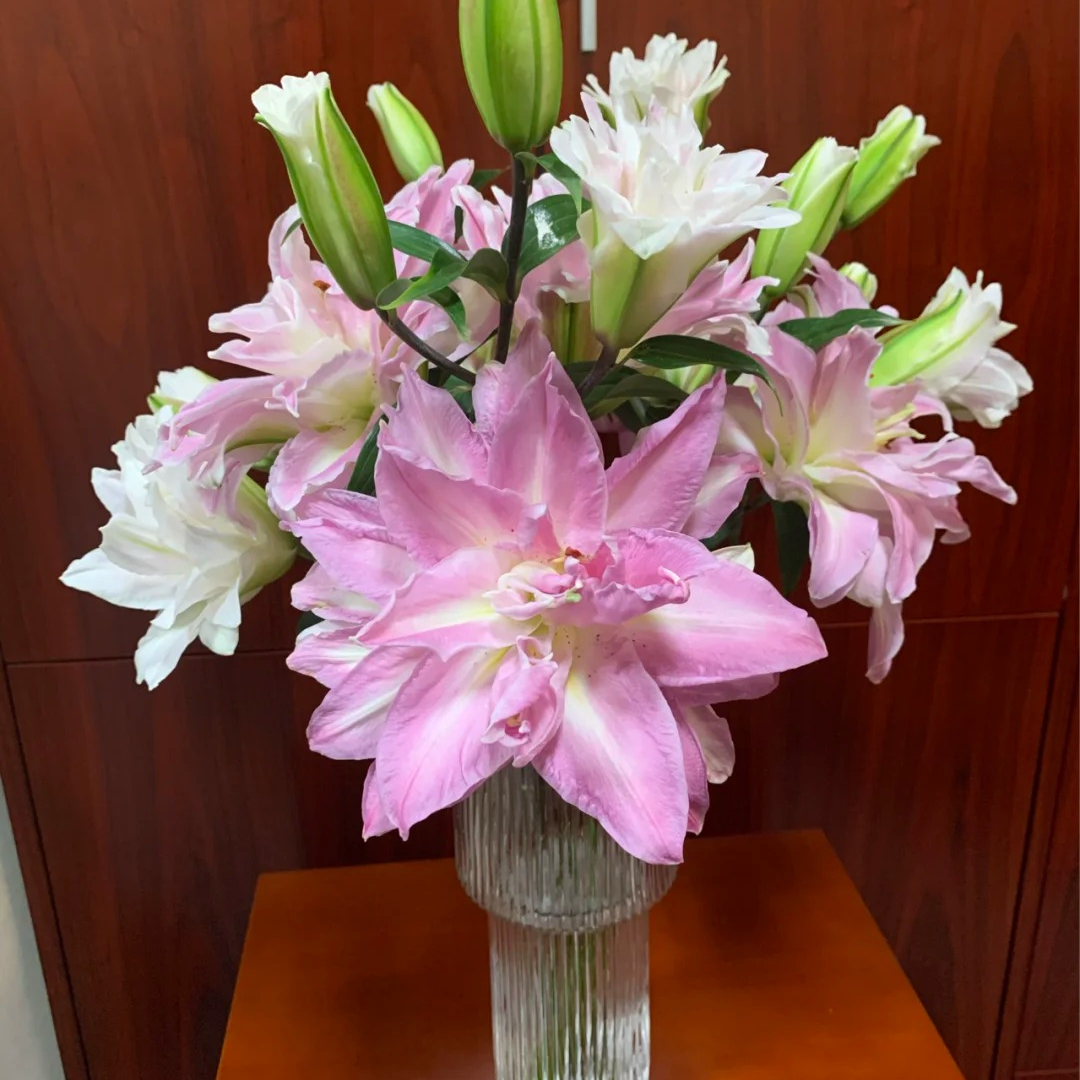 【源头优选】双重惊喜重瓣百合 任意2单鲜花包邮 发货后不支持退款