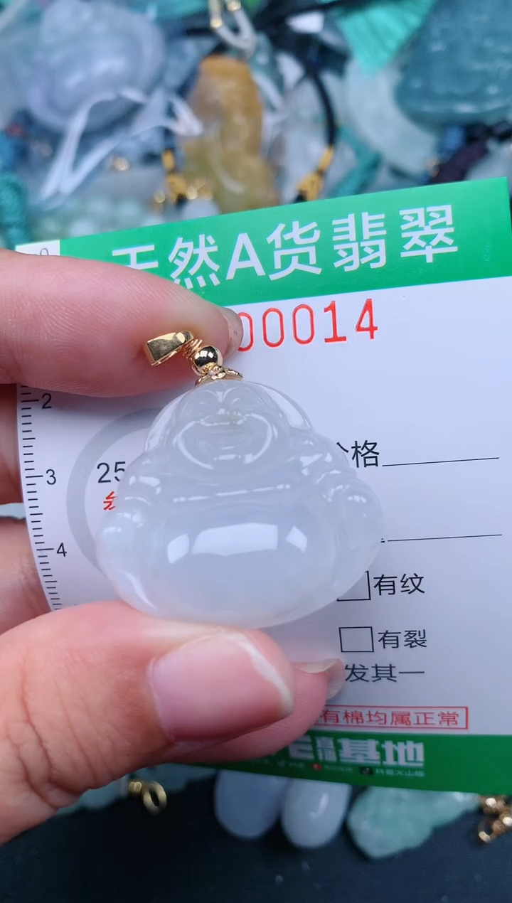 翡翠未镶嵌颈饰.0000014