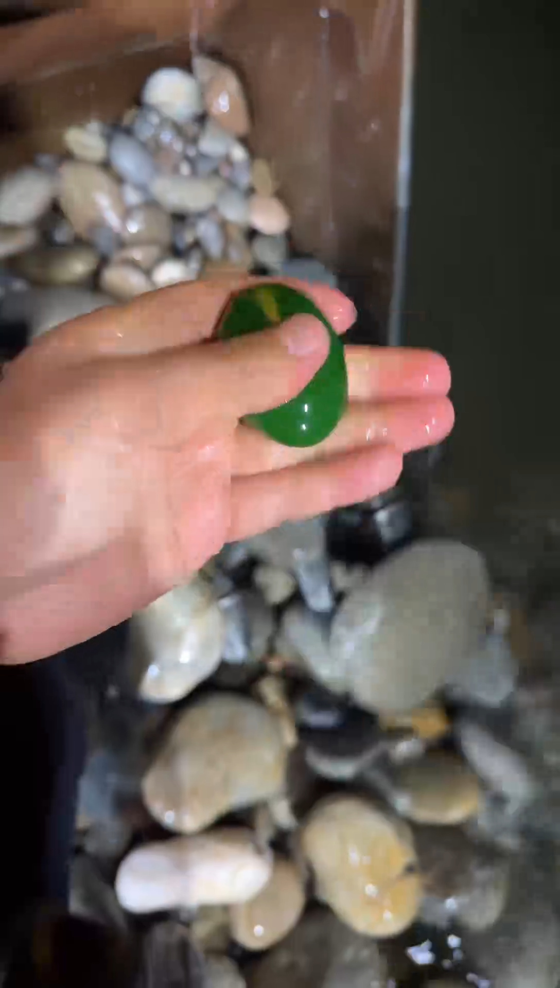 未镶嵌和田玉挂件菠菜绿