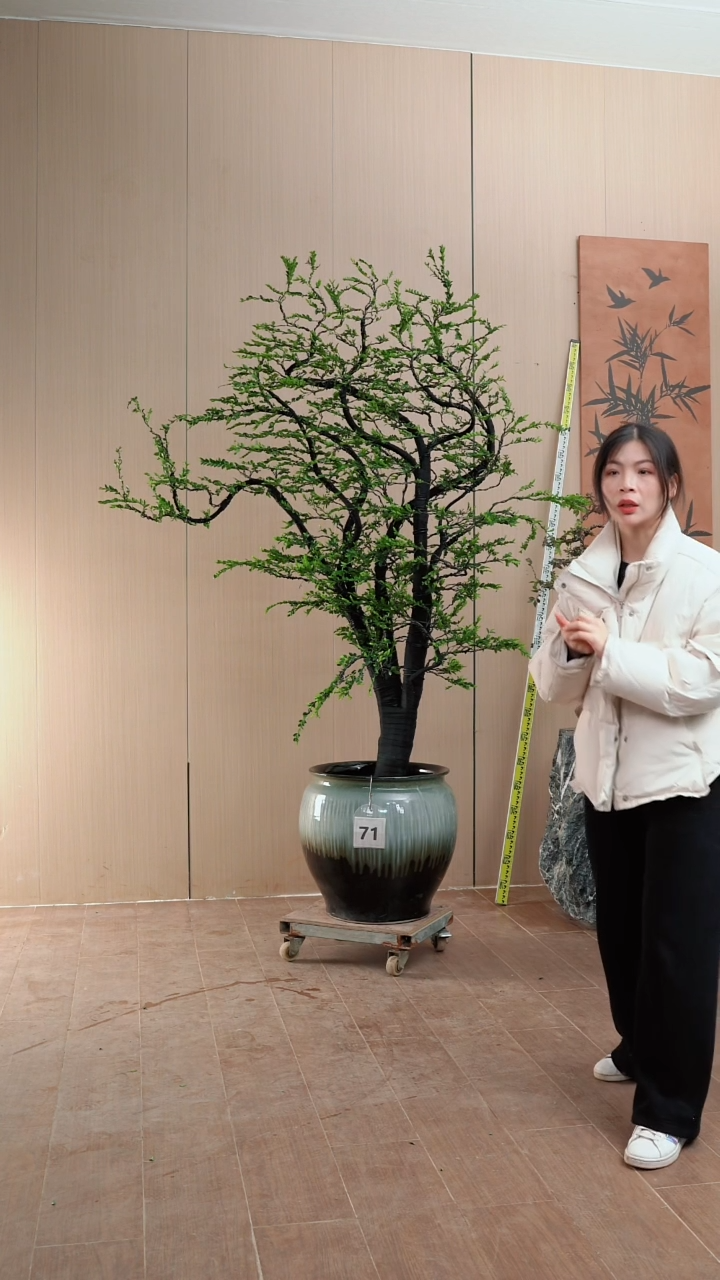【闪购商品】71号链接