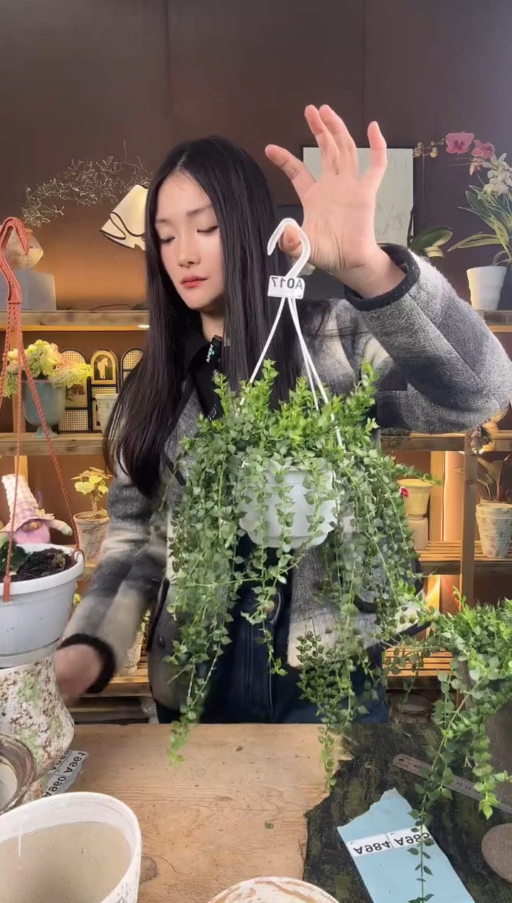 以实际为准017百万心育苗盆