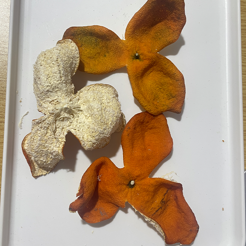 2025年 梅江 产区 冬后大红皮 圈枝