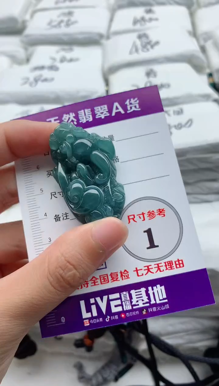 翡翠未镶嵌颈饰········