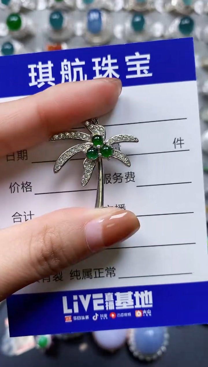 【闪购商品】翡翠颈饰银S925镶嵌0488