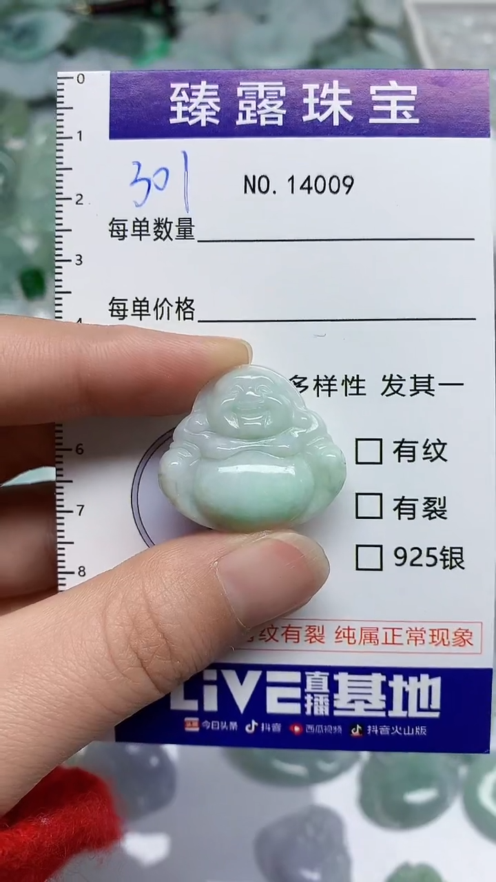 【闪购商品】翡翠颈饰未镶嵌臻露珠宝301