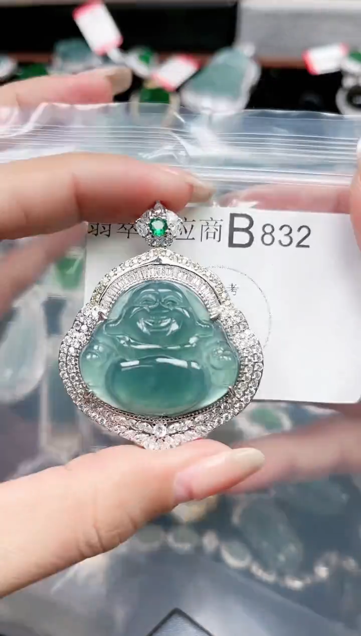 【闪购商品】翡翠颈饰未镶嵌832赠皮绳