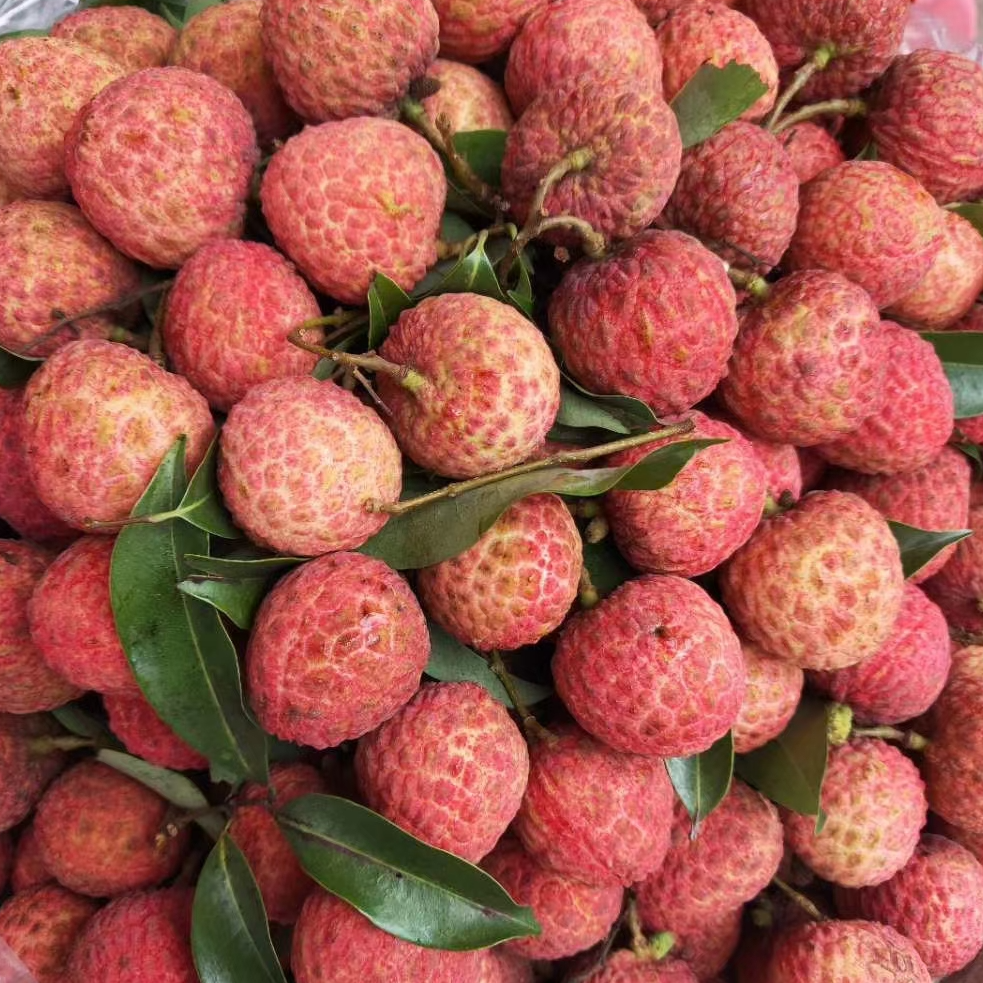 【散装 3斤】荔枝 3斤 仅大同市平城 云冈区可拍