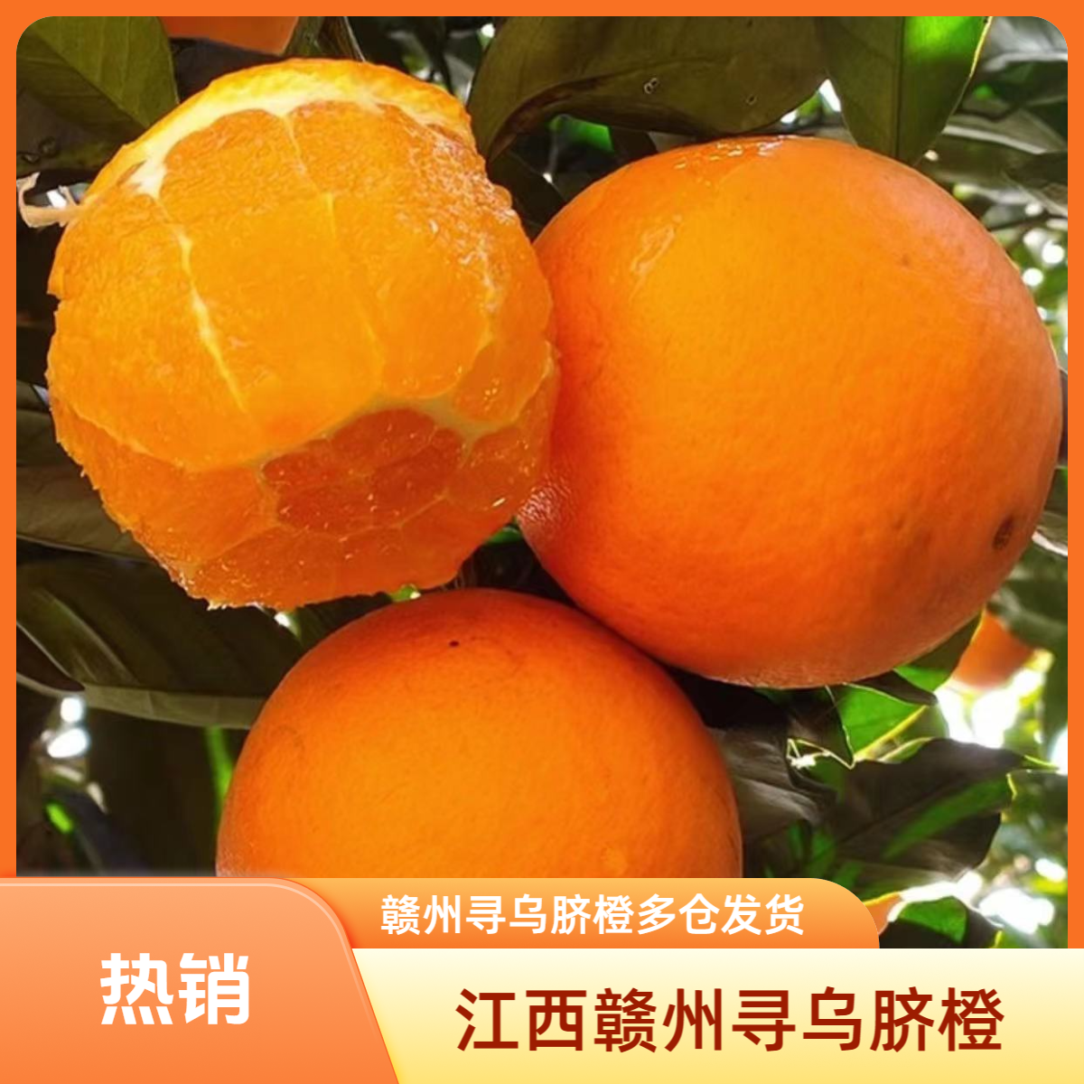 正宗江西寻乌赣南脐橙新鲜现摘多仓发货甜橙子