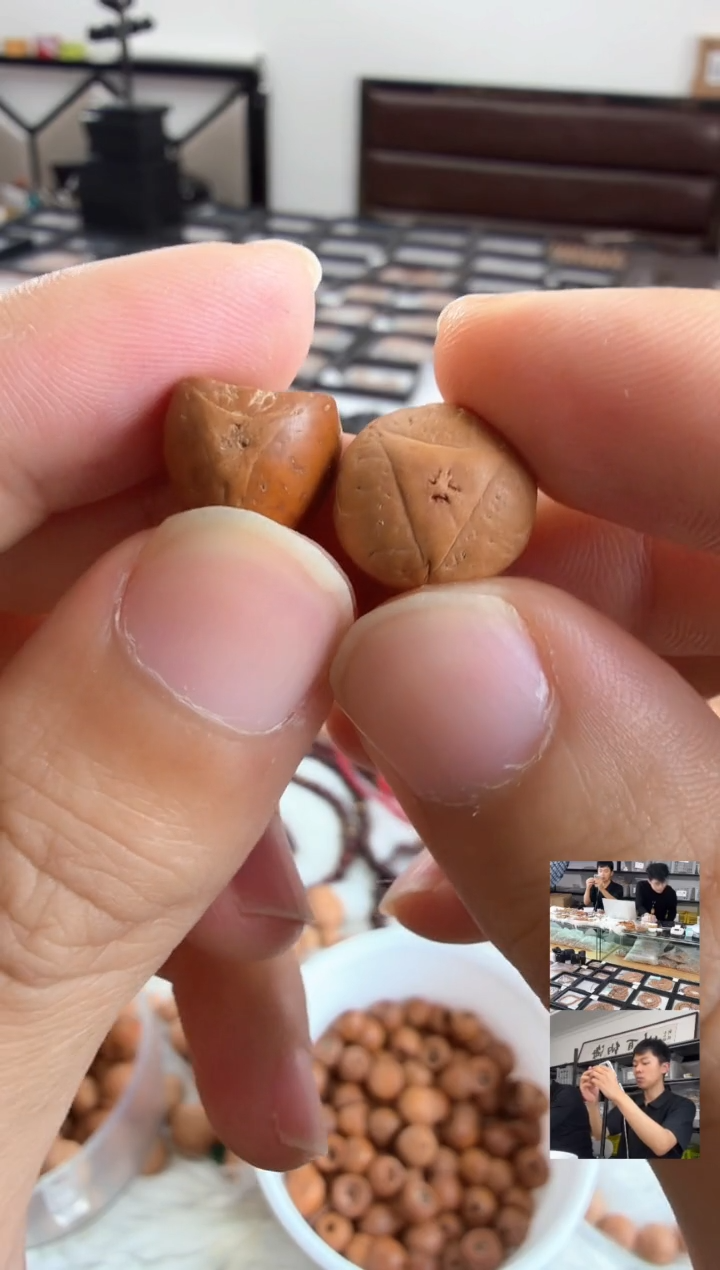 吊坠凤眼菩提4102 一物一图 13顶珠+佛塔