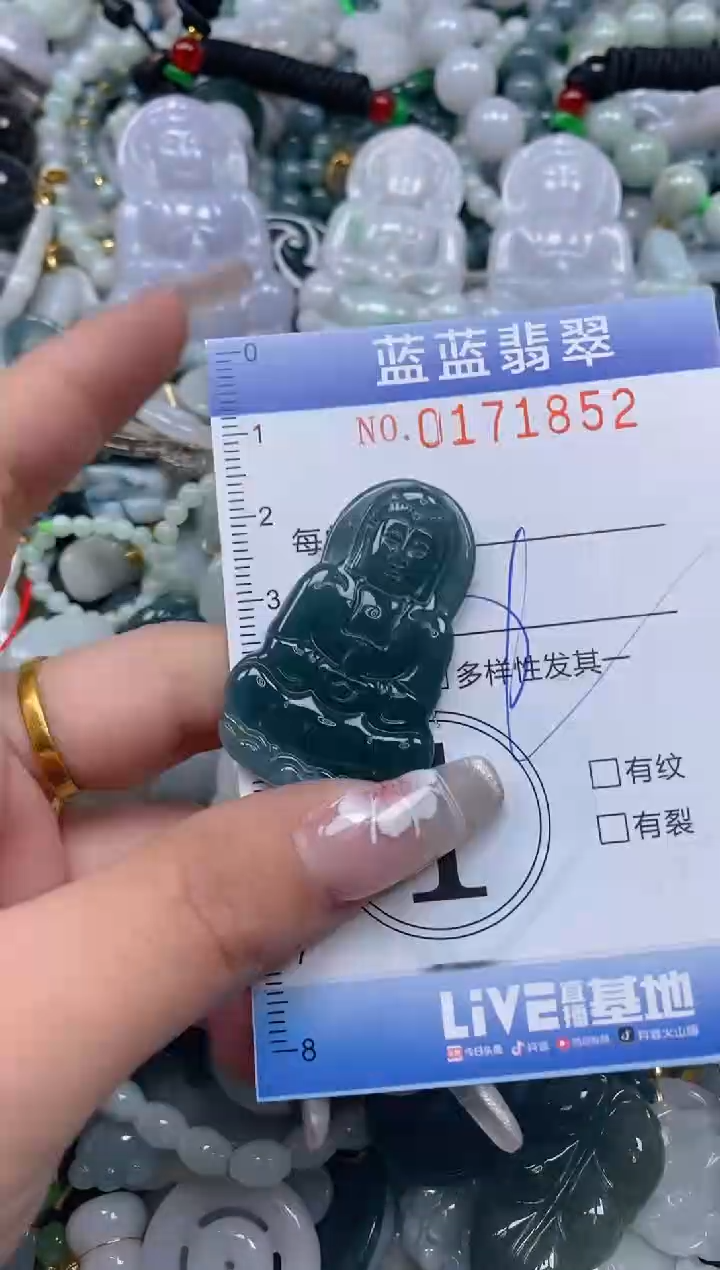 【闪购商品】翡翠颈饰未镶嵌闪购0171852