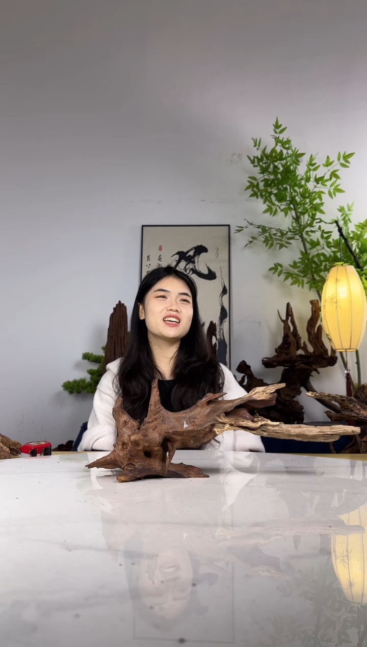 披***i拍沉木定向链接编号39