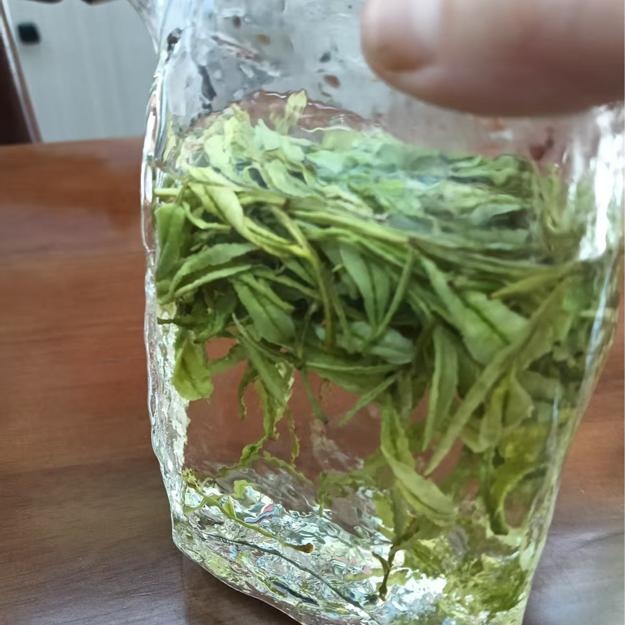 2025安吉白茶       