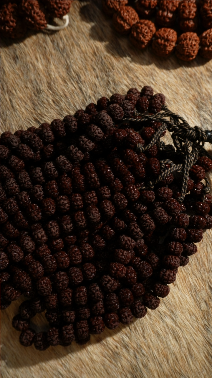 金刚菩提手串树王12单圈