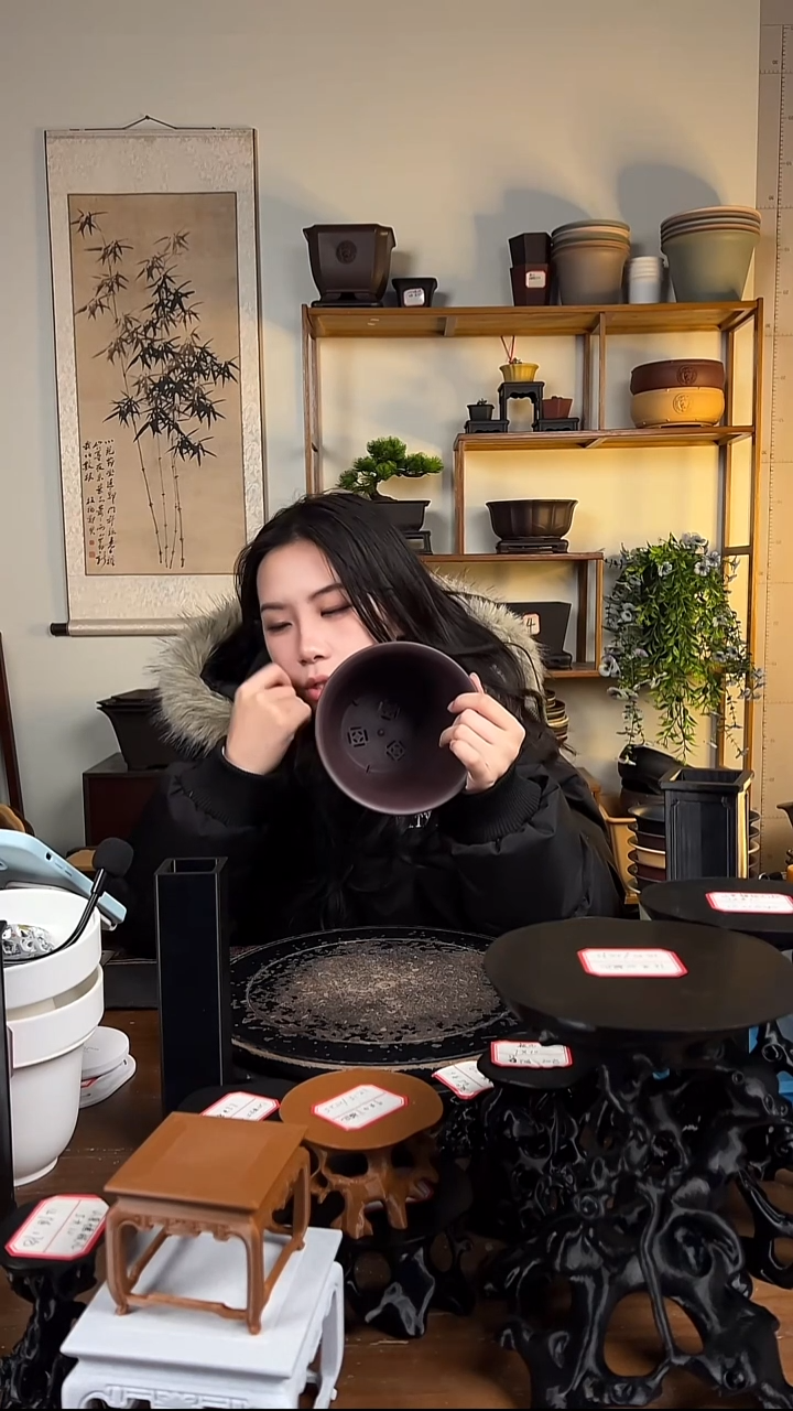 10只15口径金钟紫檀色