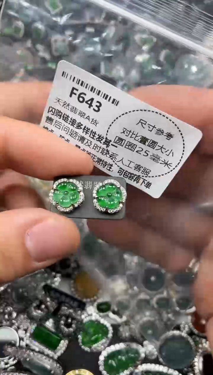 颈饰未镶嵌翡翠F643耳钉