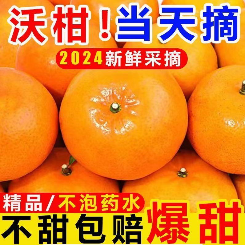 云南高山沃柑丑沃柑手剥沃柑应季新鲜水果现摘现发