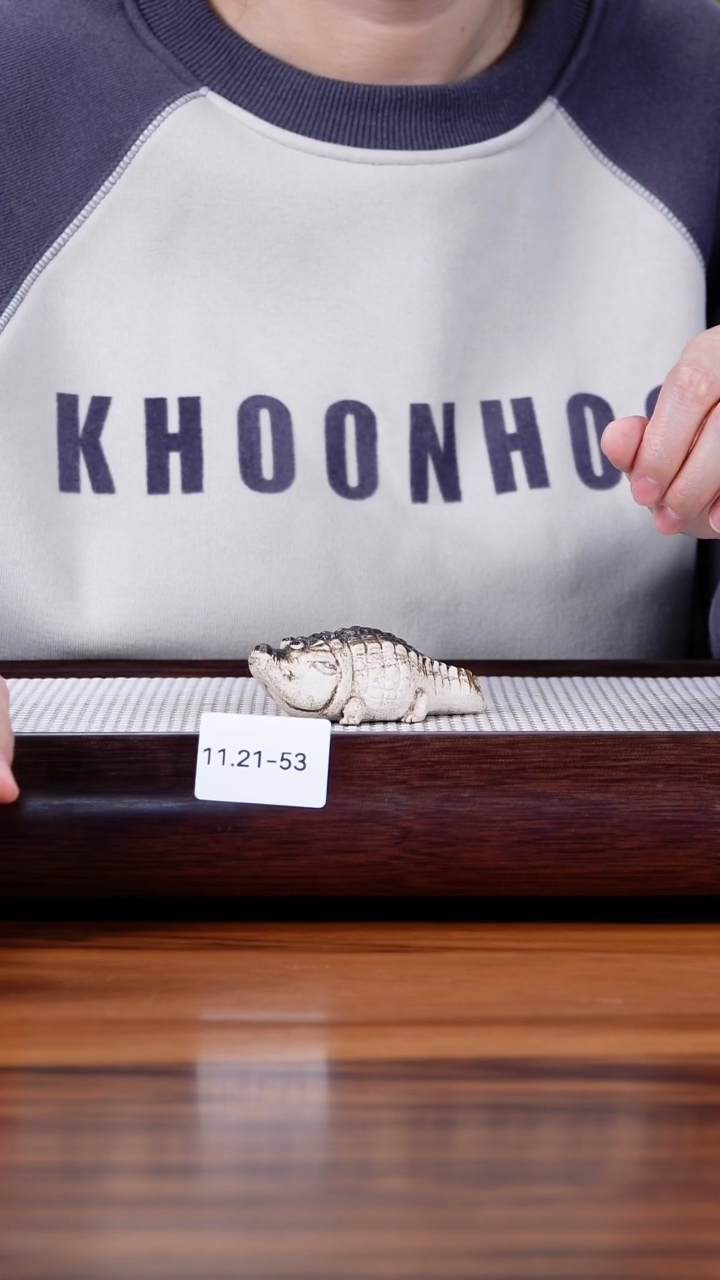 茶壶紫砂11.21-53 鳄鱼