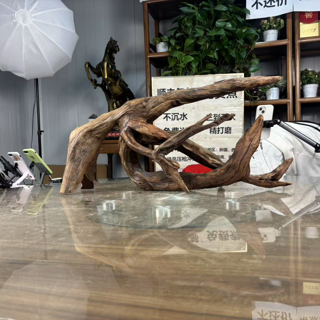 水族鱼缸造景沉木