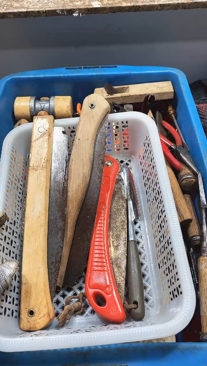 陈*婵麻嘎子工具闪购链接一物一拍