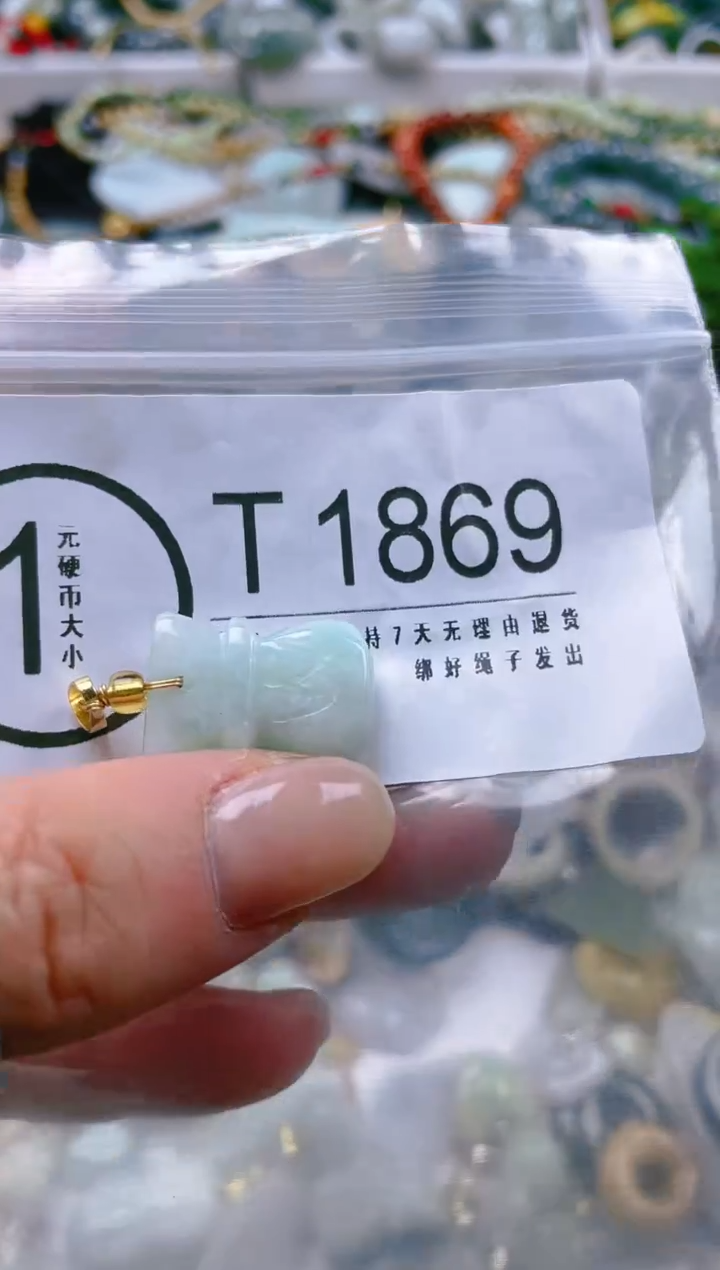 【闪购商品】翡翠颈饰未镶嵌/T/翡翠A货一图一物