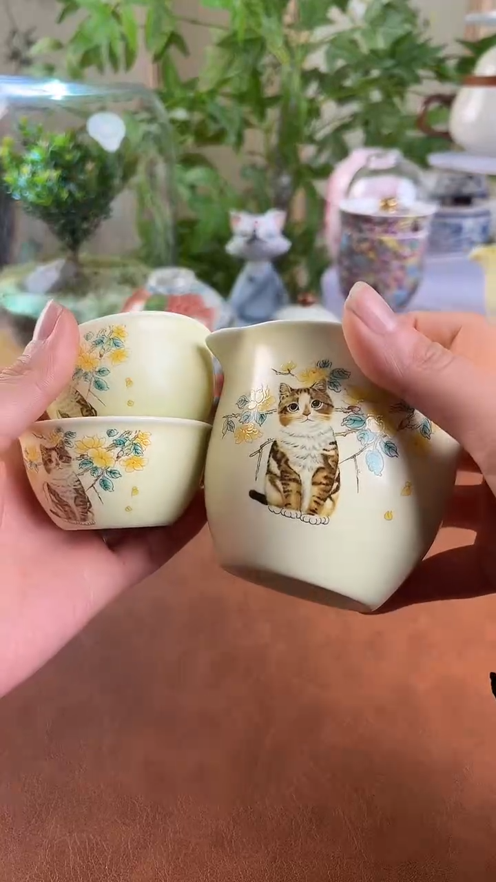 【闪购商品】老实人茶具铺快客