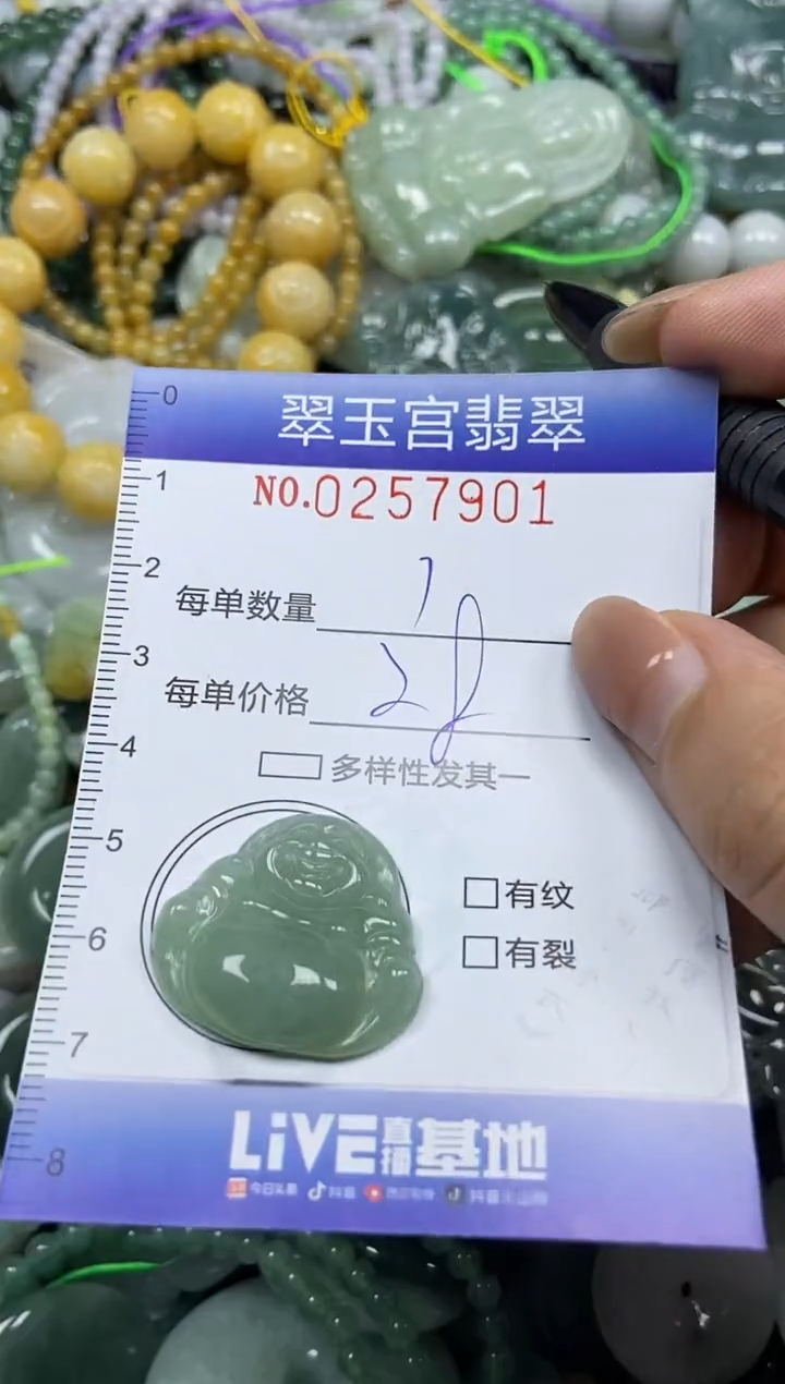 颈饰未镶嵌翡翠闪购C0257901