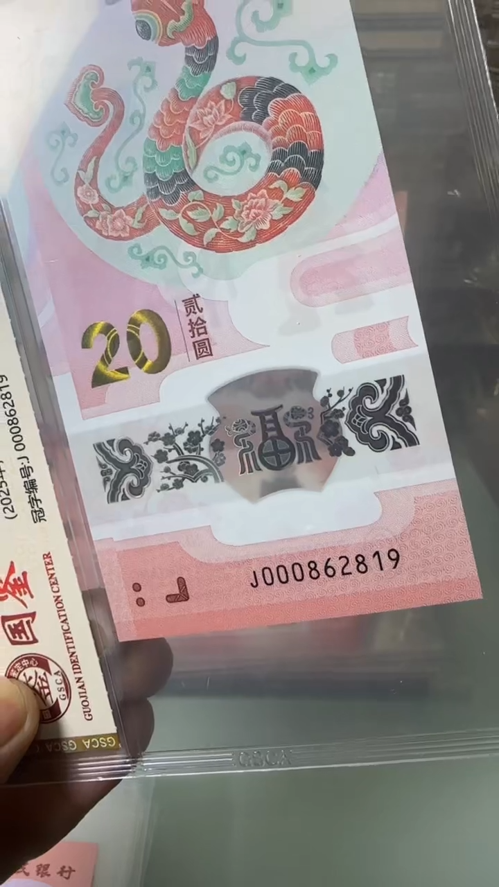 【闪购商品】塑料000862819-蛇钞单张