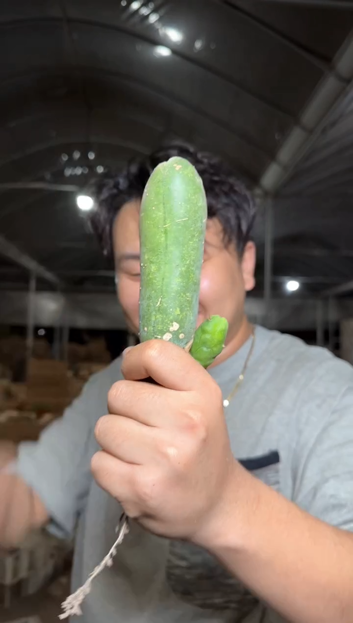 【带根】程程柱 不指定多头