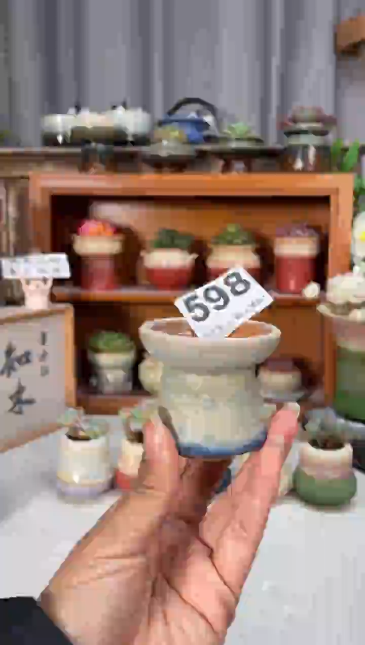 瓷片598小芳直播编号