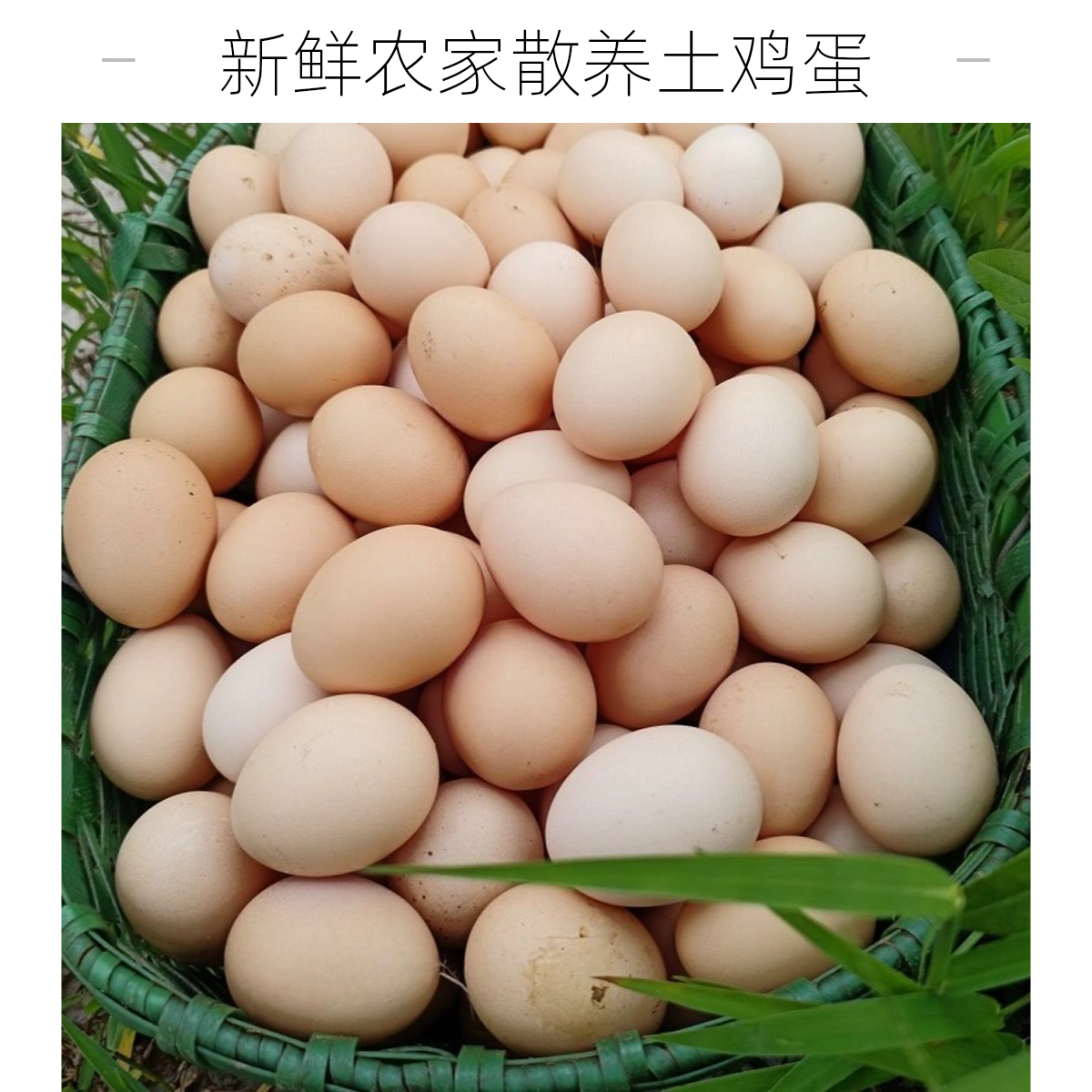 铭创好品助农散养初生蛋拍30土鸡蛋送20土鸡蛋到手50枚（点关注）