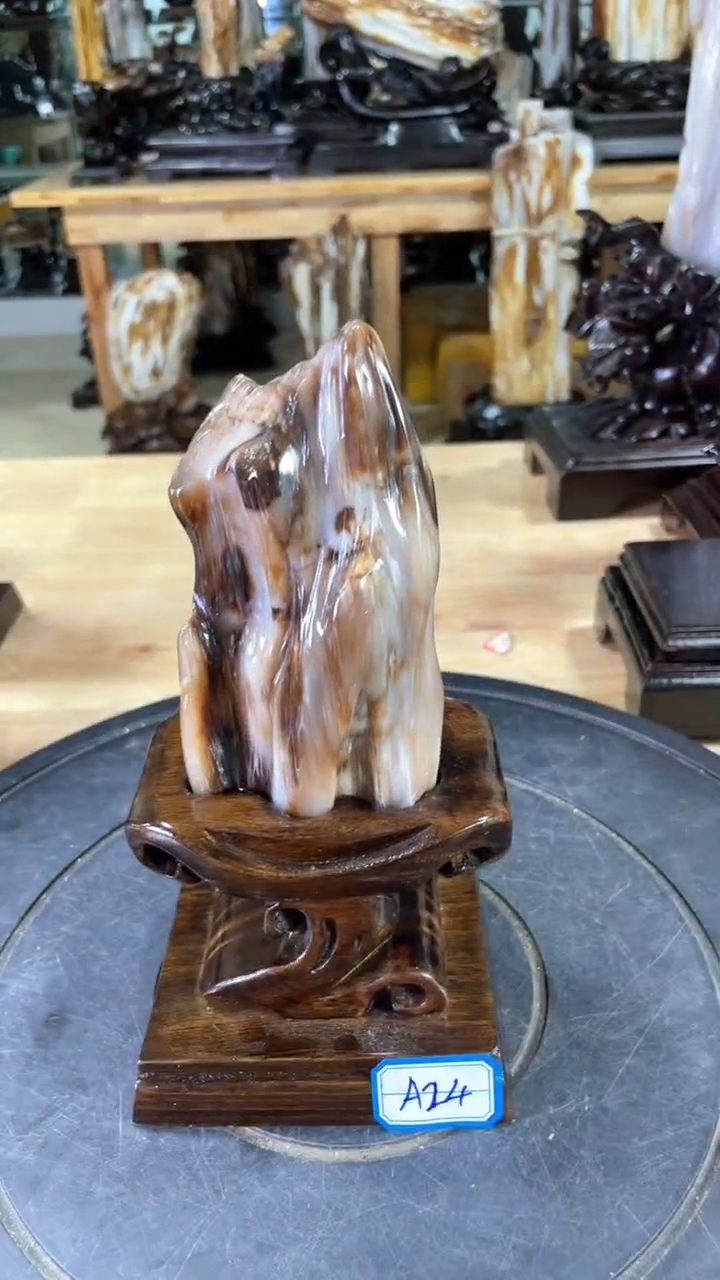【闪购商品】硅化玉珠宝奇石未镶嵌228