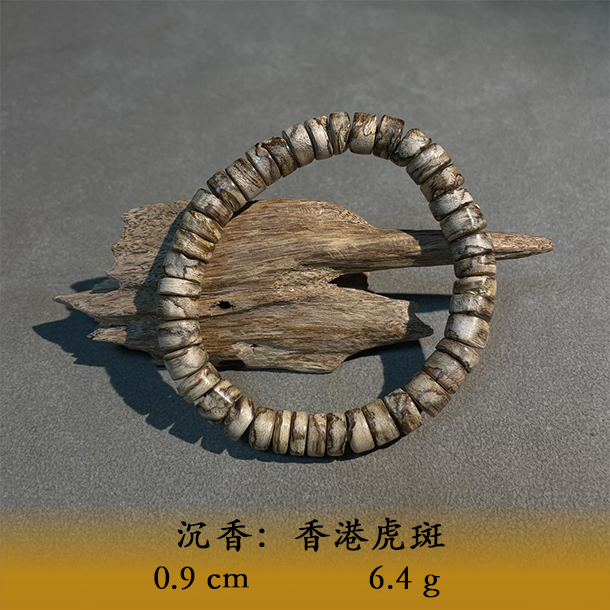 LSRTP天然野香港虎斑C729