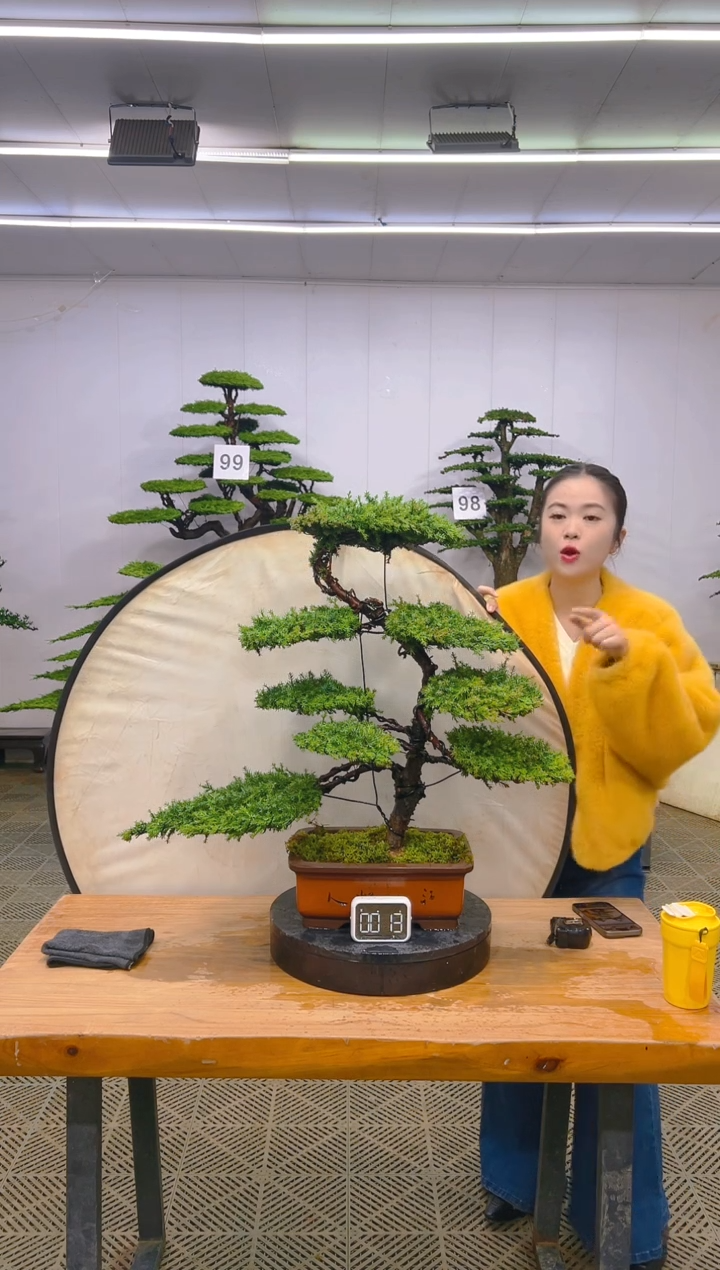 无花朵一物一拍一物一拍